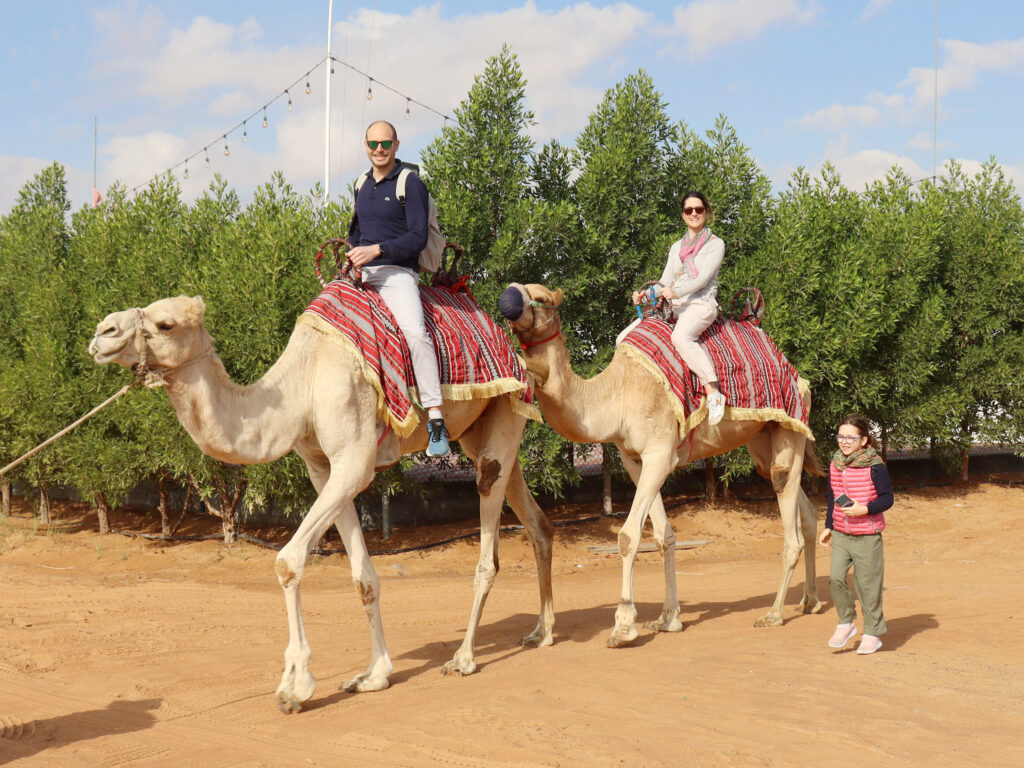 camel ride