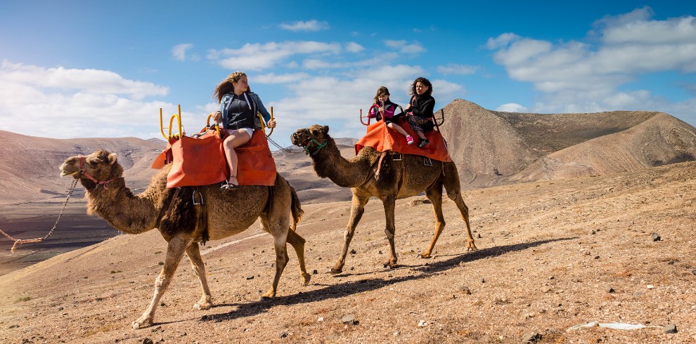 camel ride